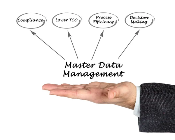 Master Data Management — Stock Photo, Image