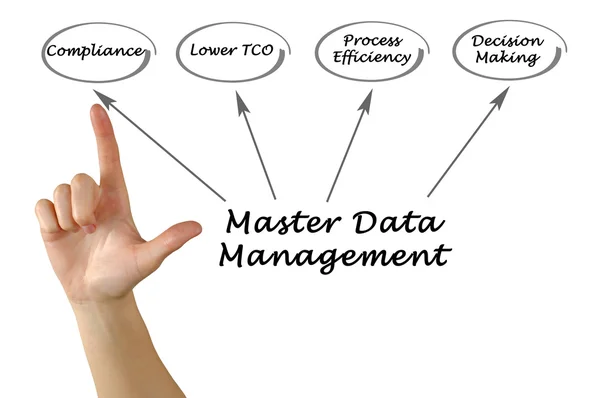 Διαχείριση δεδομένων Master — Φωτογραφία Αρχείου