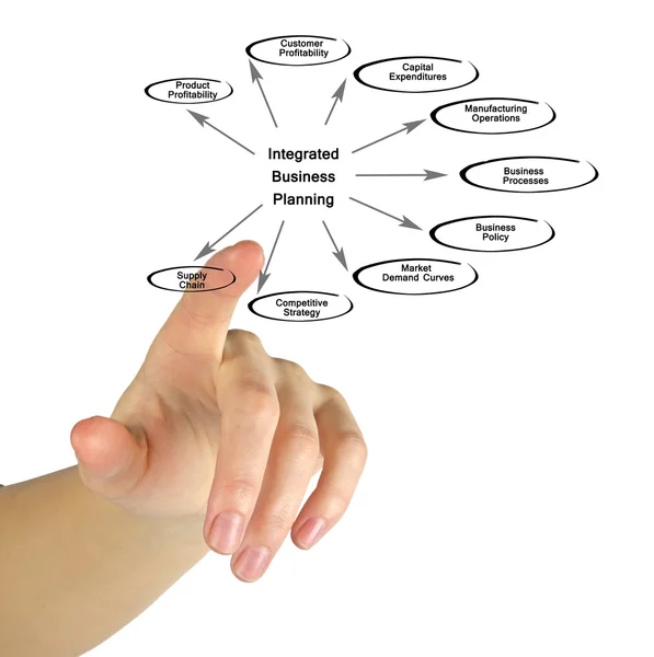 Diagram of Integrated Business Planning — Stock Photo, Image