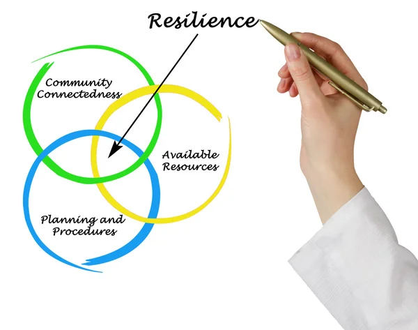 Diagrama de resiliencia — Foto de Stock