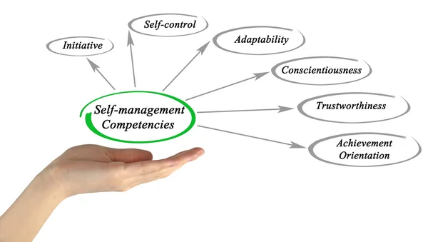 Self-management competencies — Stock Photo, Image