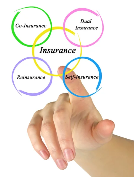 Type of Insurance — Stock Photo, Image