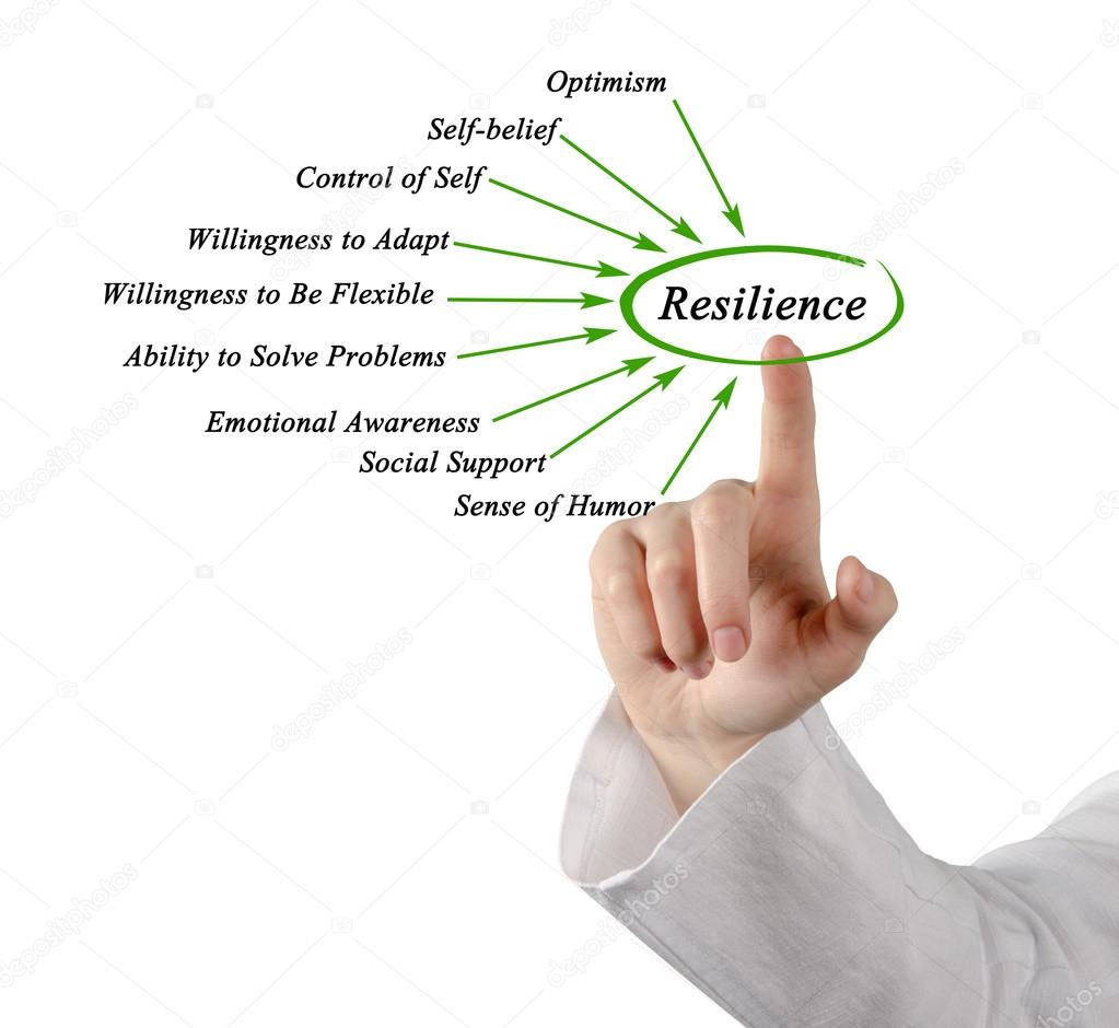 Diagram of Resilience