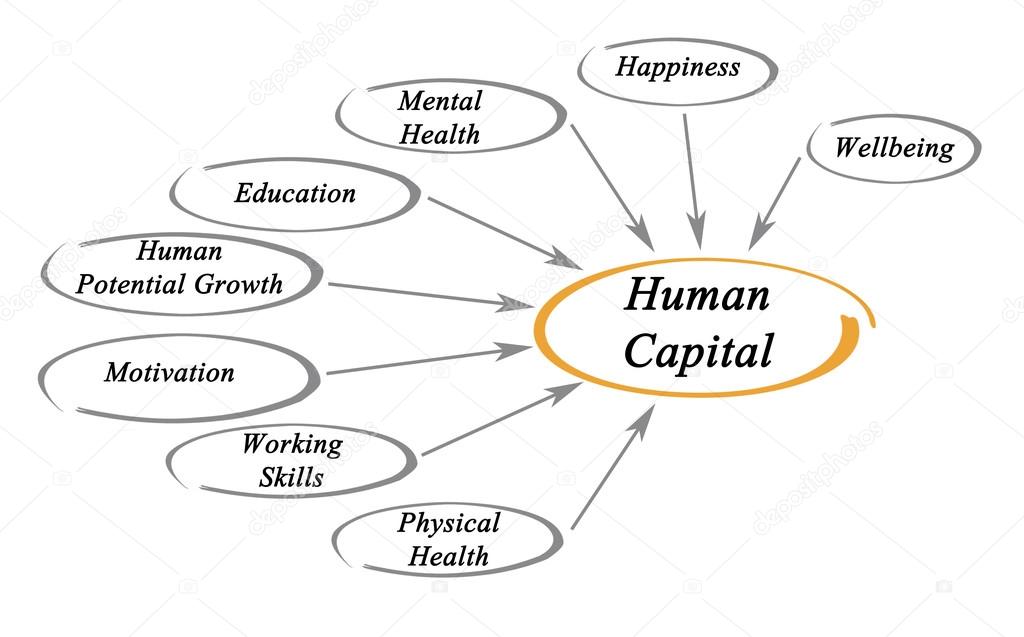 Diagram Of Human Capital Stock Photo Vaeenma 74800289 diagram-of-human-capital-stock-photo-vaeenma-74800289