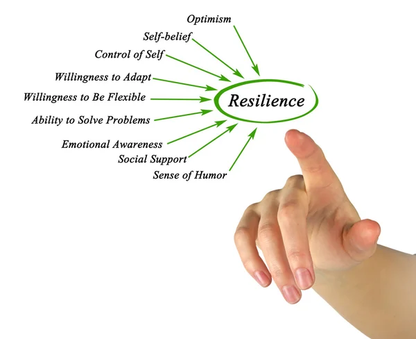 Diagram of Resilience — Stock Photo, Image