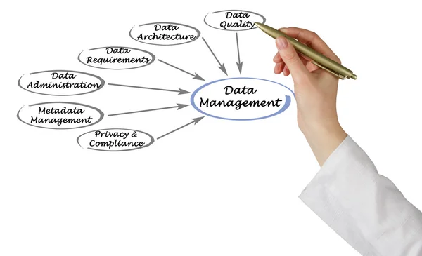 Diagrama de gestión de datos — Foto de Stock