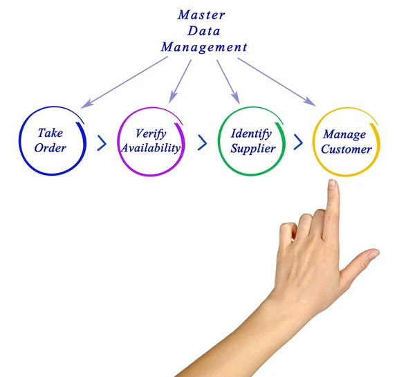 Schemat zarządzania danymi Master — Zdjęcie stockowe
