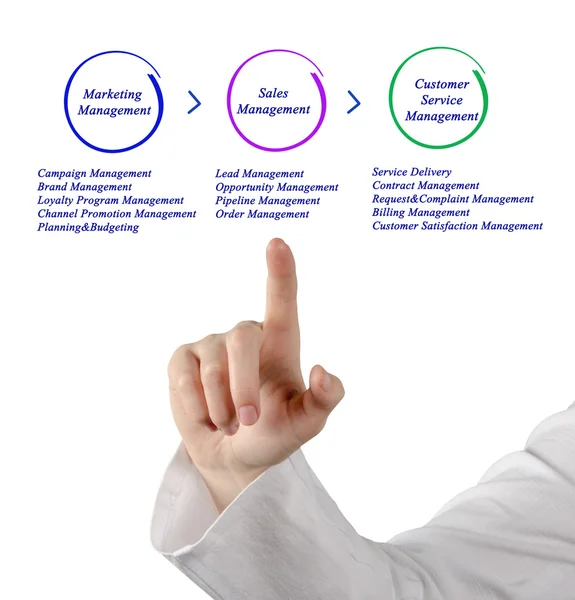 Diagram of Business Management — Stock Photo, Image
