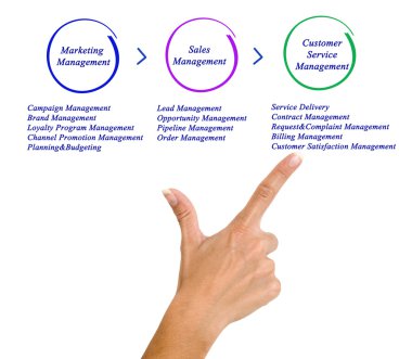 iş yönetim şeması