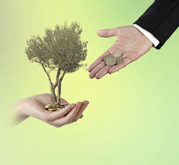 Investing to green business — Stock Photo, Image