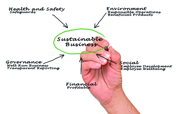 Diagram of sustainable business — Stock Photo, Image