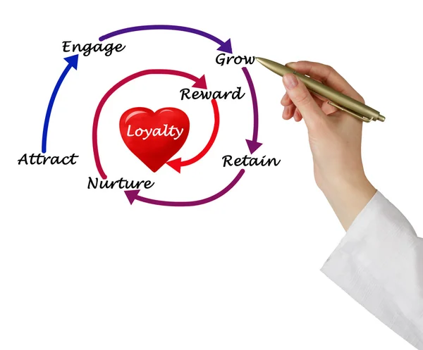 Диаграмма лояльности — стоковое фото