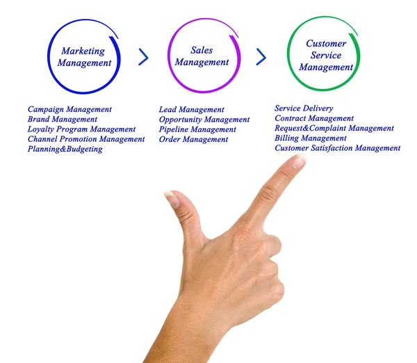 Diagram of Business Management — Stock Photo, Image