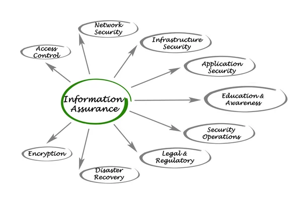 Information assurance — Stock Photo, Image