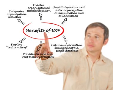 Yarar-in Erp diyagramı