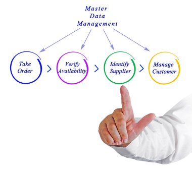 Efendi veri yönetim şeması