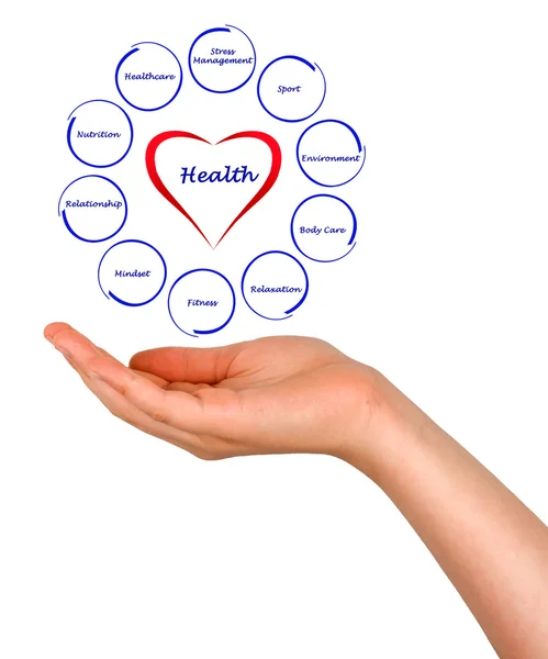 Diagram of health — Stock Photo, Image