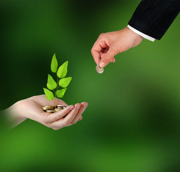 Інвестування в зелений бізнес — стокове фото