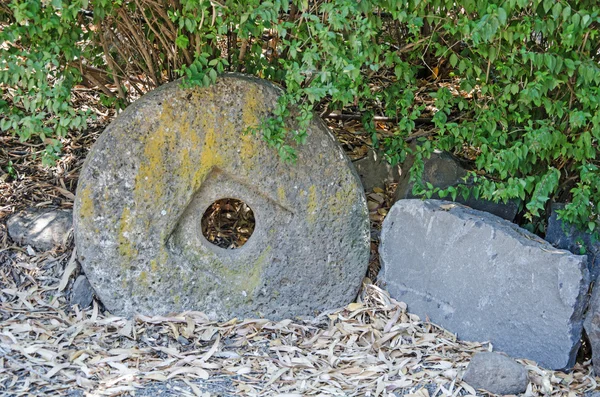 Close up of Olive press — Stock Photo, Image