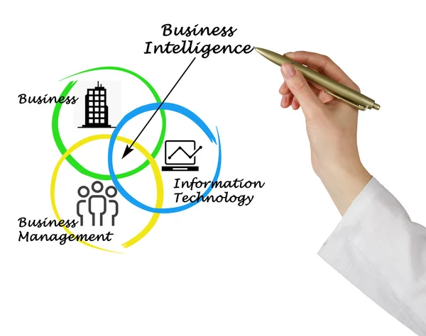 Business Intelligence — Stockfoto