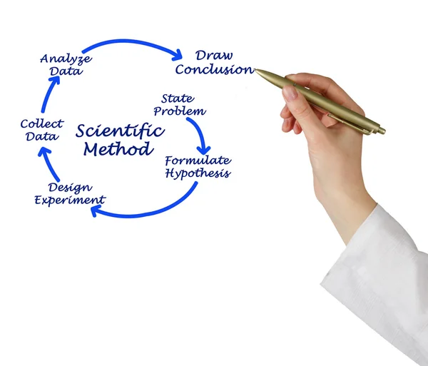 Scientific Method — Stockfoto