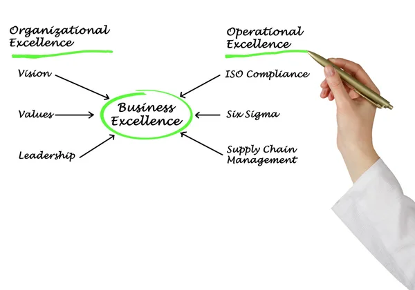 Diagramm unternehmerischer Exzellenz — Stockfoto