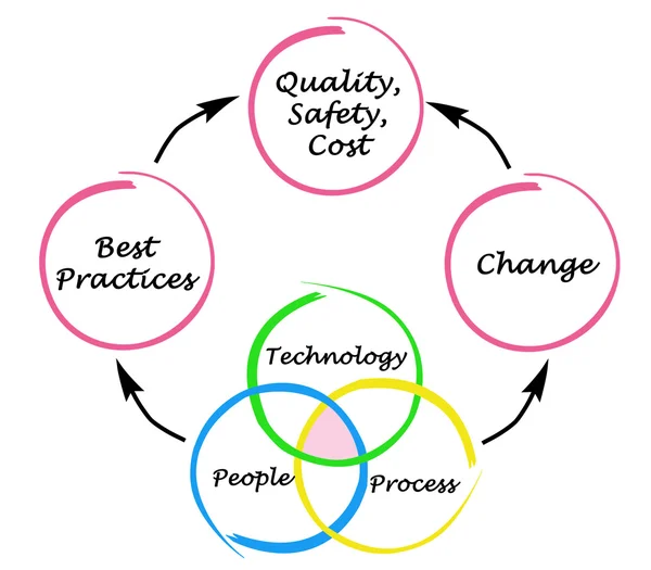 Management diagram — Stock Photo, Image