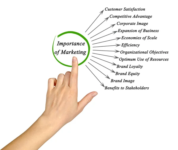 Importance of Marketing — Stock Photo, Image