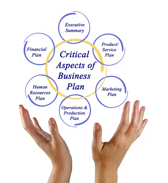 Critical Aspects of Business Plan — Stock Photo, Image