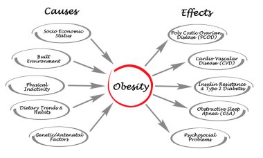 Obesity: causes and effects clipart
