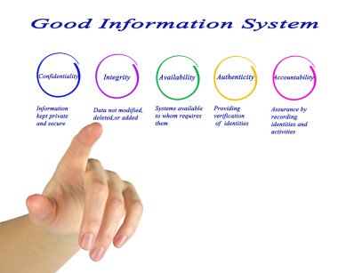 İyi bilgi sistemi