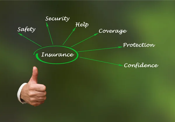 Diagram of insurance — Stock Photo, Image