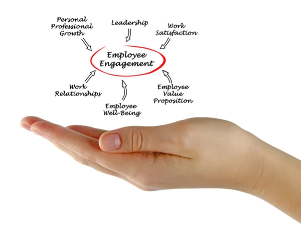 Employee Engagement — Stock Photo, Image