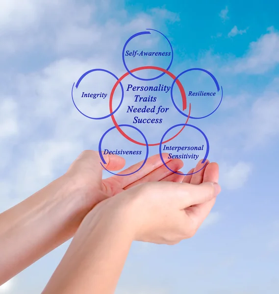 Diagram of Personality Traits Needed for Success — Stock Photo, Image