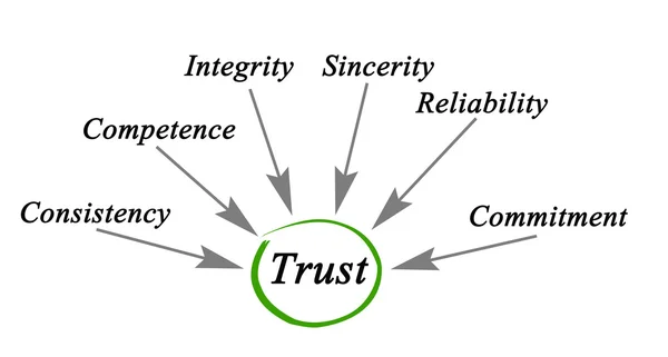 신뢰의 다이어그램 — 스톡 사진