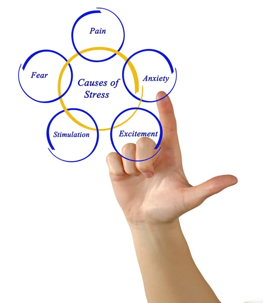 Diagrama de las causas del estrés —  Fotos de Stock