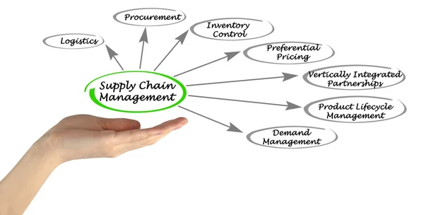 Gestione della supply chain — Foto Stock