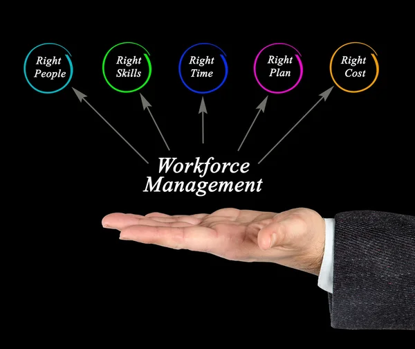 Gestão da força de trabalho — Fotografia de Stock