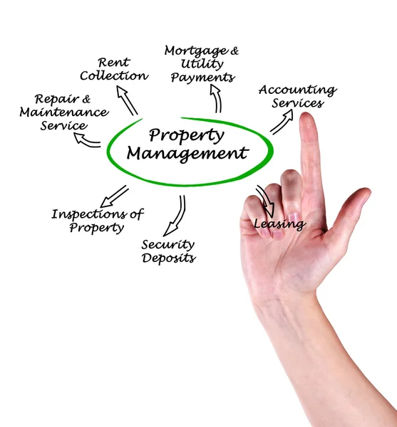 Property Management — Stock Photo, Image