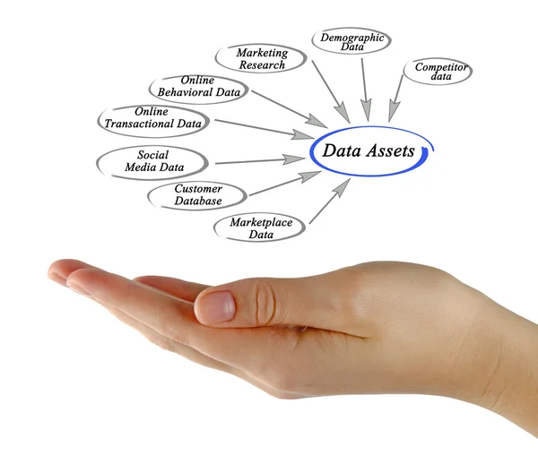 Data Assets — Stock Photo, Image