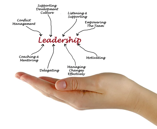 Диаграмма лидерства — стоковое фото