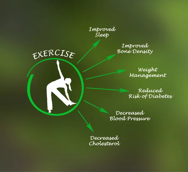 Diagrama de utilidade do exercício — Fotografia de Stock