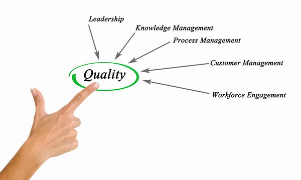 Presentation of Diagram of Quality — Stock Photo, Image