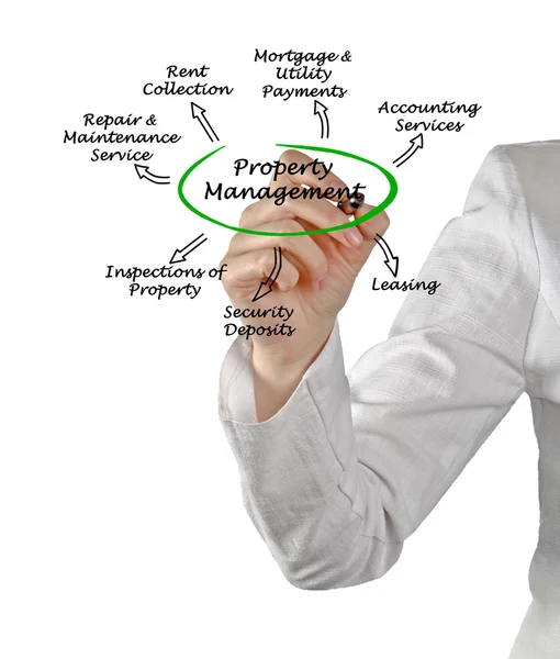 Diagrama de Gestión de la Propiedad —  Fotos de Stock