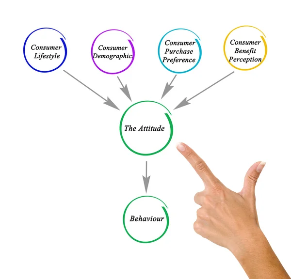 Diagrama de los factores que afectan la actitud — Foto de Stock