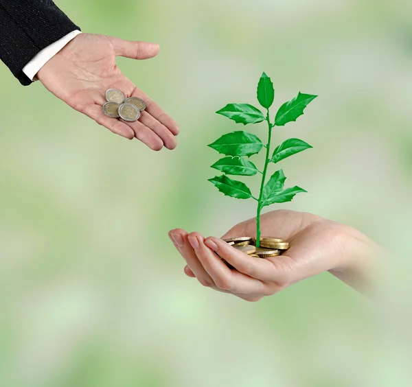 Investing to green business — Stock Photo, Image