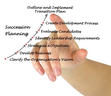 Veraset planlama diyagramı