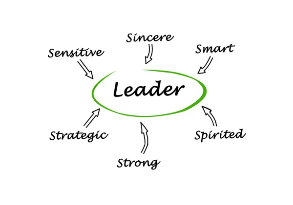 Schema dei tratti del leader di successo — Foto Stock