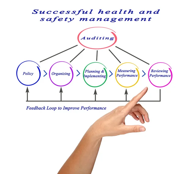 Diagrama de Gestión exitosa de la salud y la seguridad —  Fotos de Stock