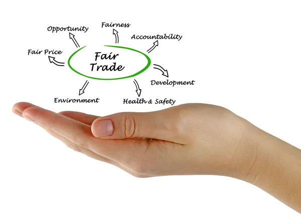 Diagram of fair trade — Stock Photo, Image